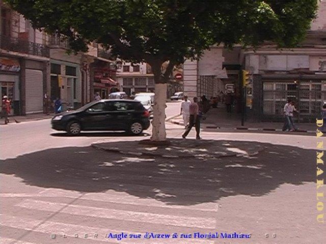 RUE FLOREAL MATHIEU RUE MARECHAL LECLERC.jpg